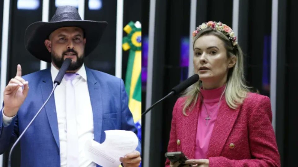 Carla Ayres tweet media