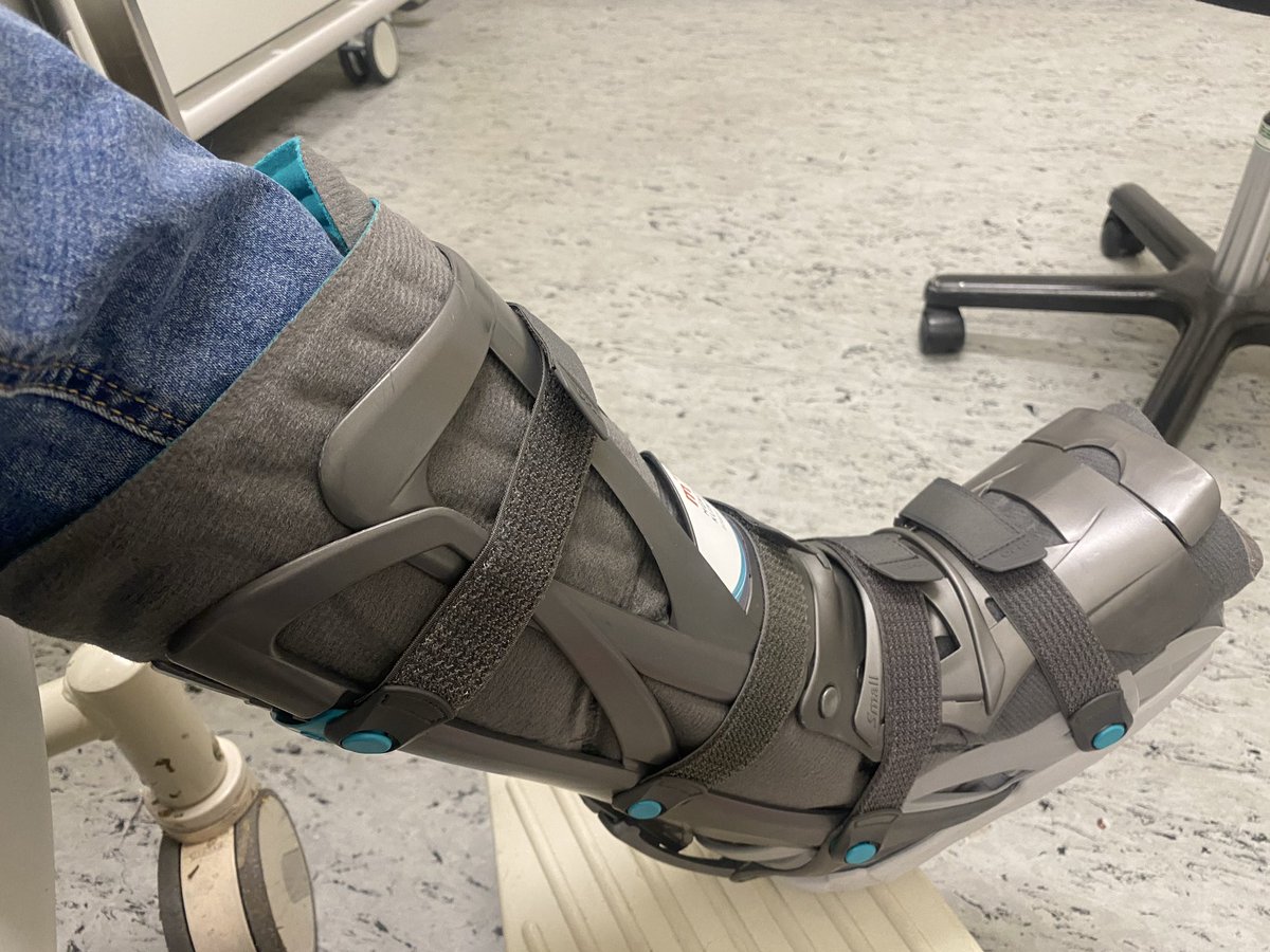 Chicco (Hundskerli) & die Kaddser  🐶😽😺😸😻 tweet media