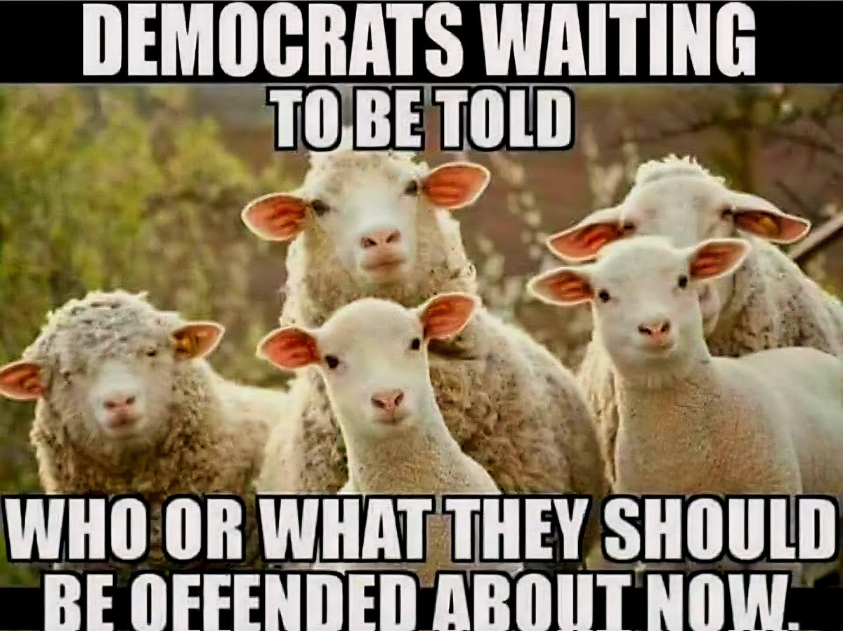 Emilia__writes's tweet image. No doubt