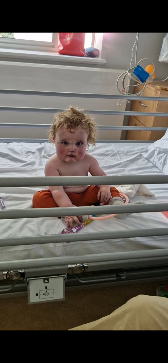 Ollie's Heart Fund 💛 tweet media