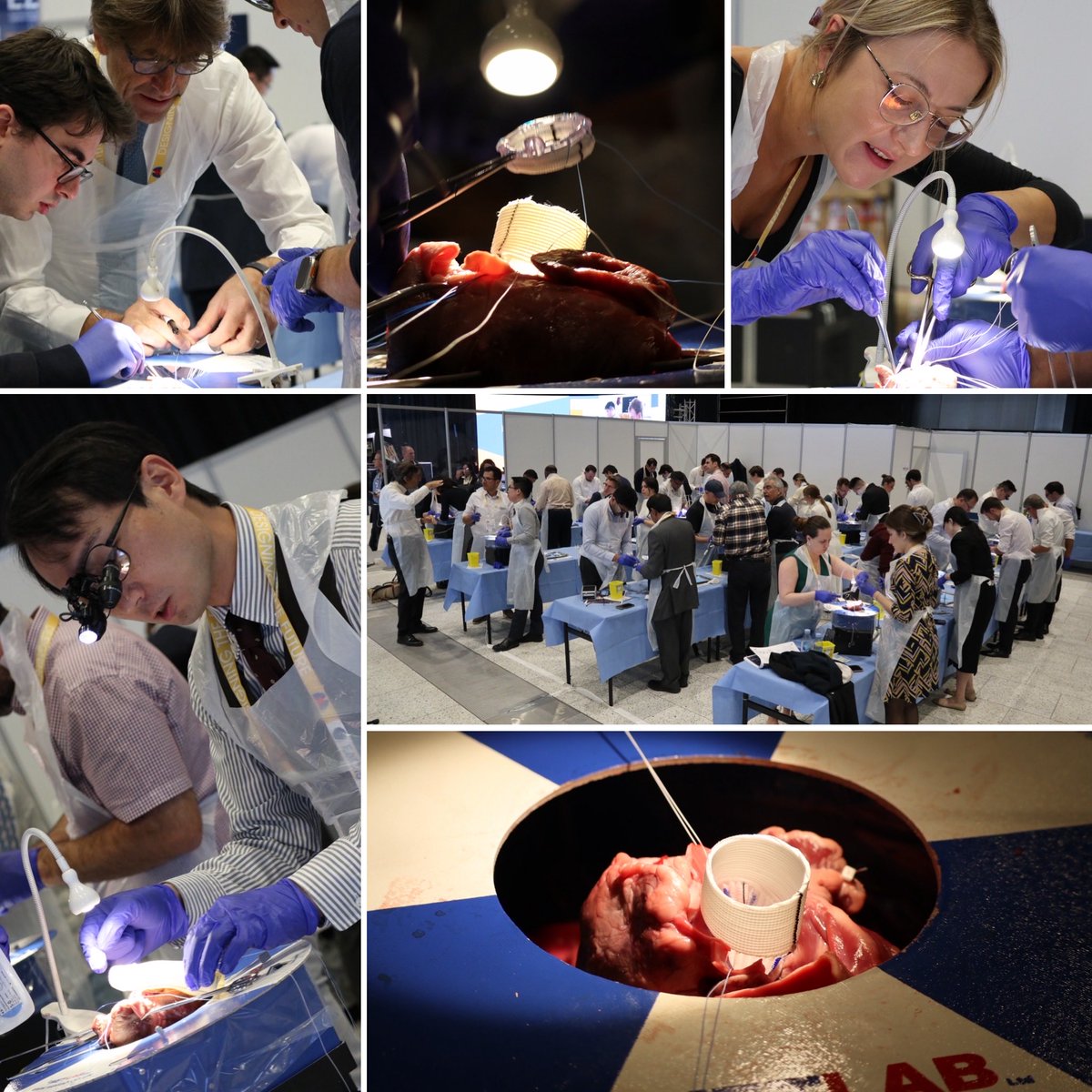 Wetlab tweet media