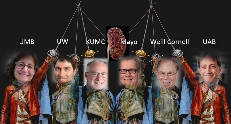 PKD Research Resource Consortium tweet media