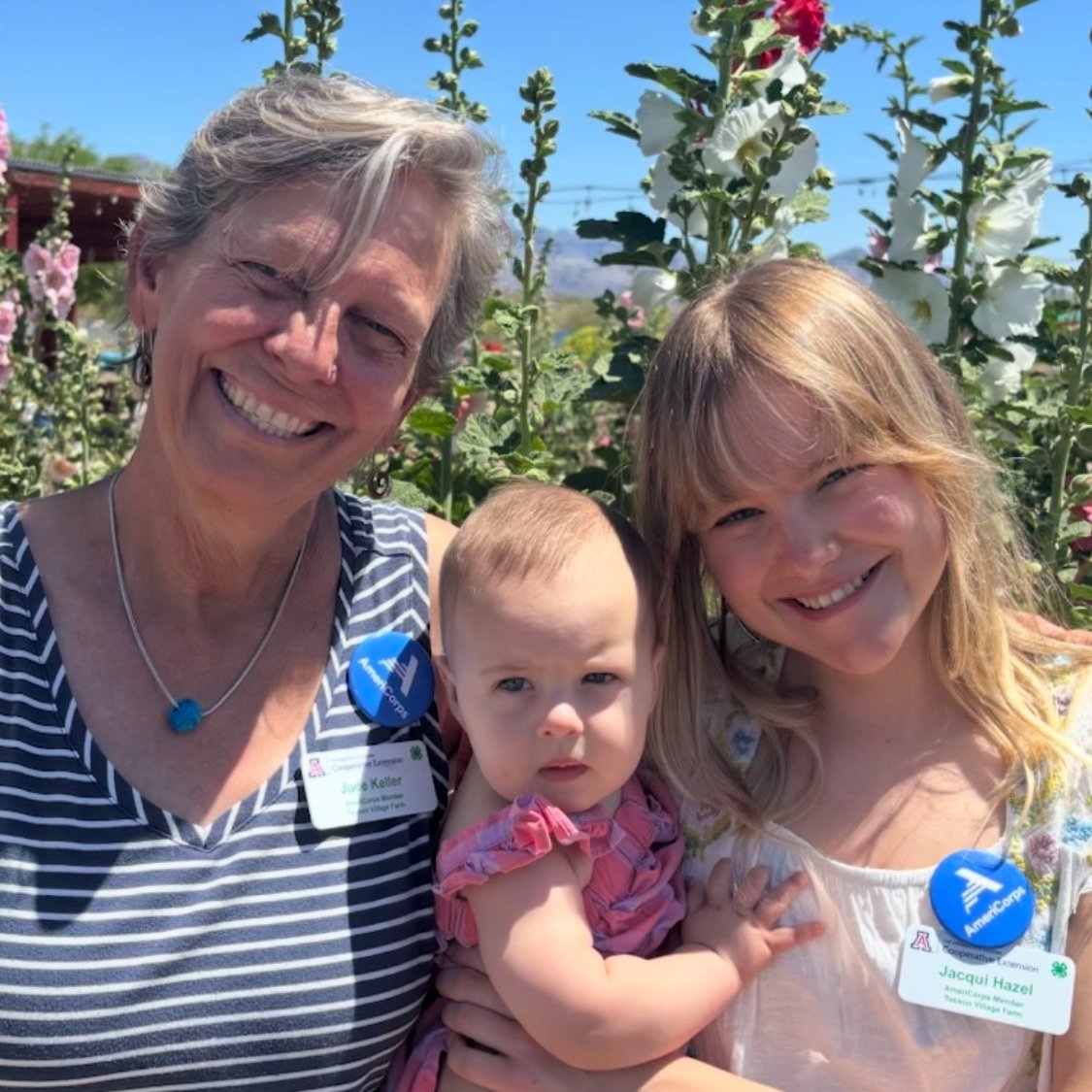 Wildcat Corps tweet media