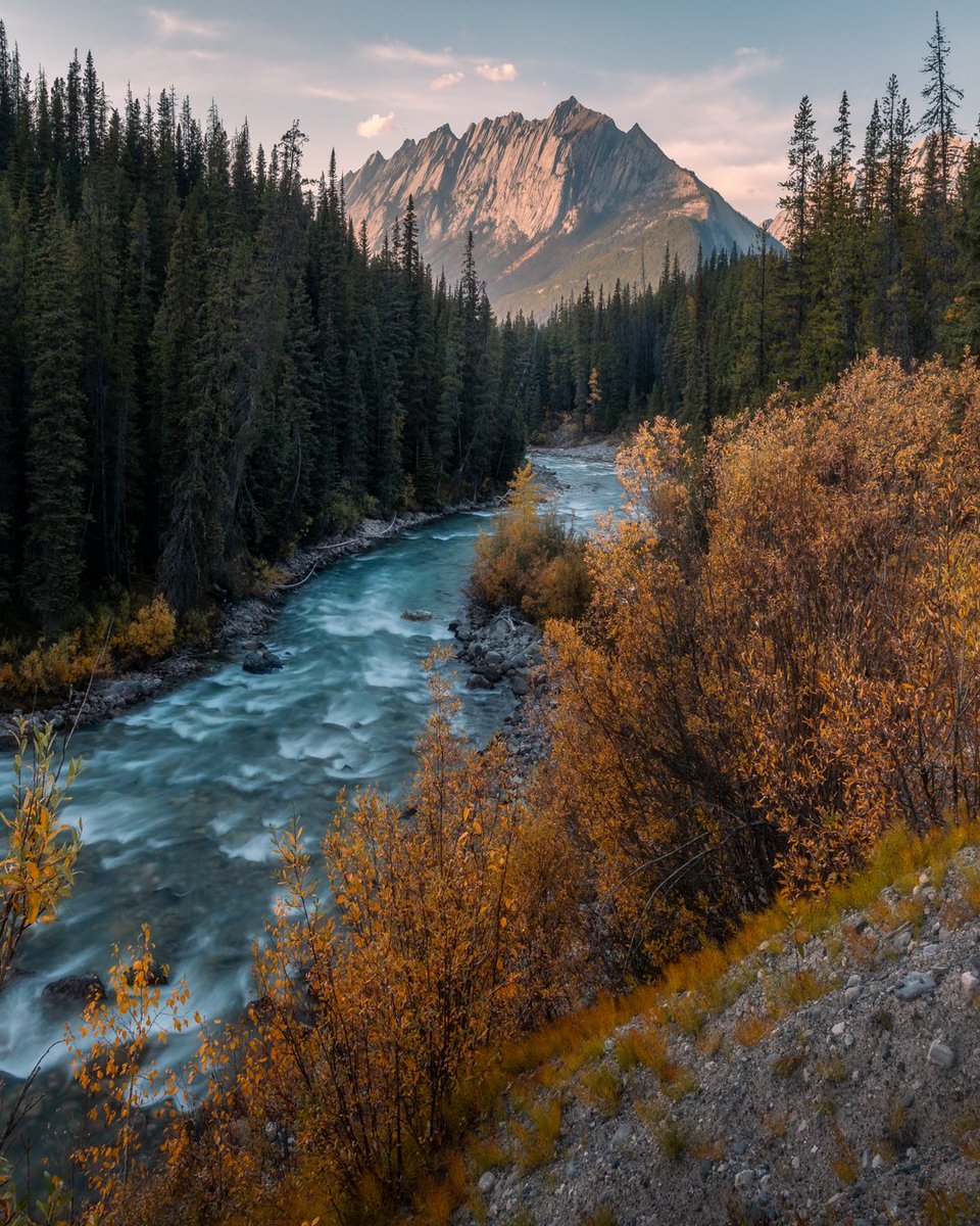 danschyk's tweet image. Autumn vibes in Jasper