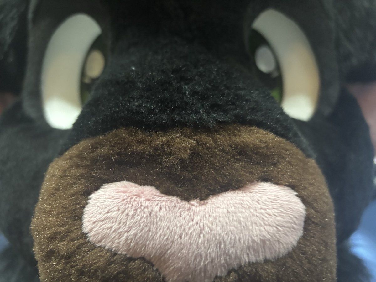 Nick The Goat 🔜 Ibercon (@nicksatha) on Twitter photo I can smell you through the screen 
#FursuitFriday I can smell you through the screen 
#FursuitFriday