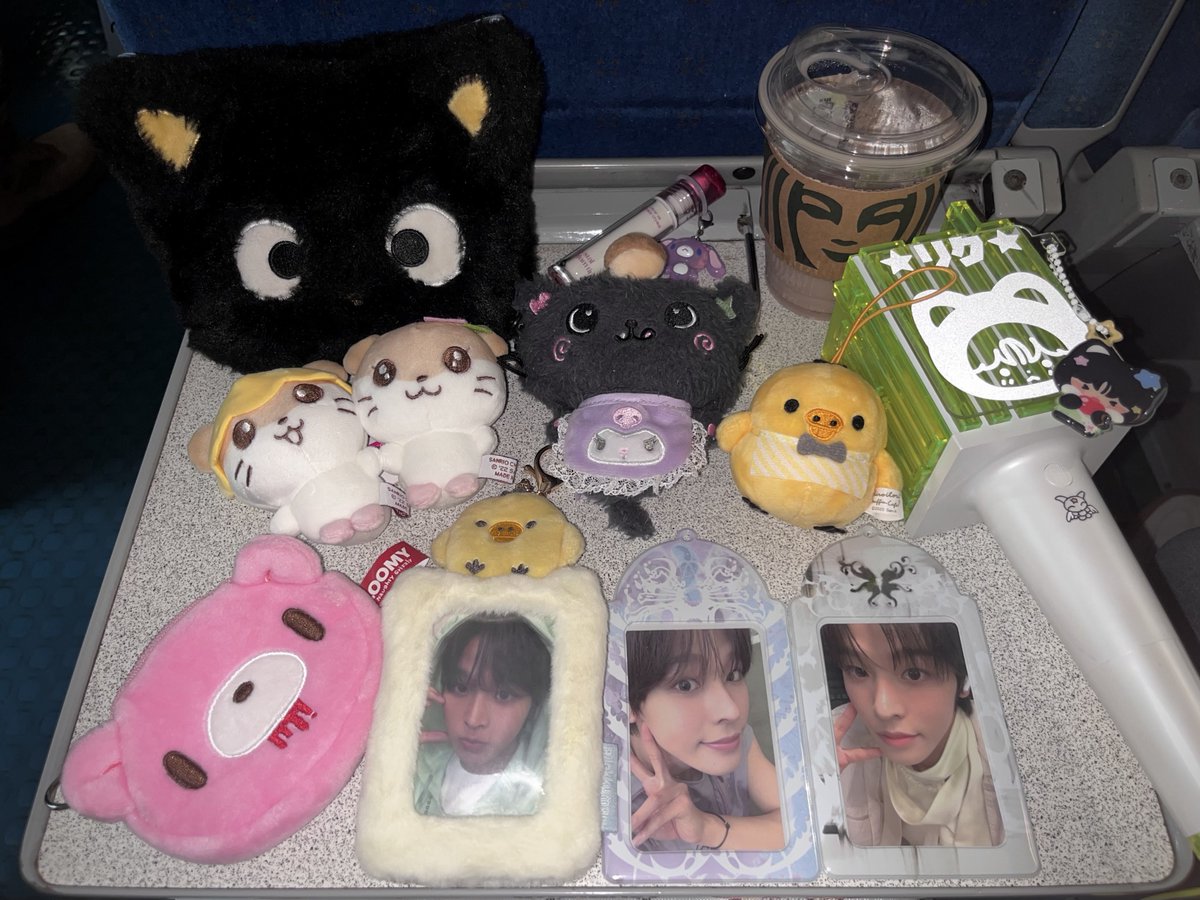 onriku_'s tweet image. 경주다녀왓어요🪷🐈‍⬛