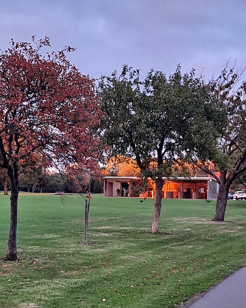 Forest_ParkGC's tweet image. Autumn sunset on the driving range.

Practice makes perfect as the saying goes.
#drivingrange #practice #golfswing
