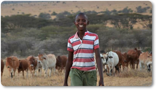 Cada noche, los leones bajaban de las colinas del Parque Nacional de Nairobi, en Kenia. El amanecer traía siempre el mismo resultado: ganado muerto y miedo. Hasta que un niño de 11 años tuvo una idea que acabó salvando a su pueblo y también a los leones. Tira del hilo 🧵👇🏽👇🏽👇🏽