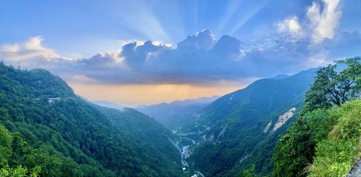 🅳🅳 tweet media