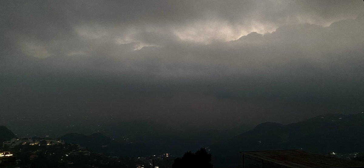 🅳🅳 tweet media