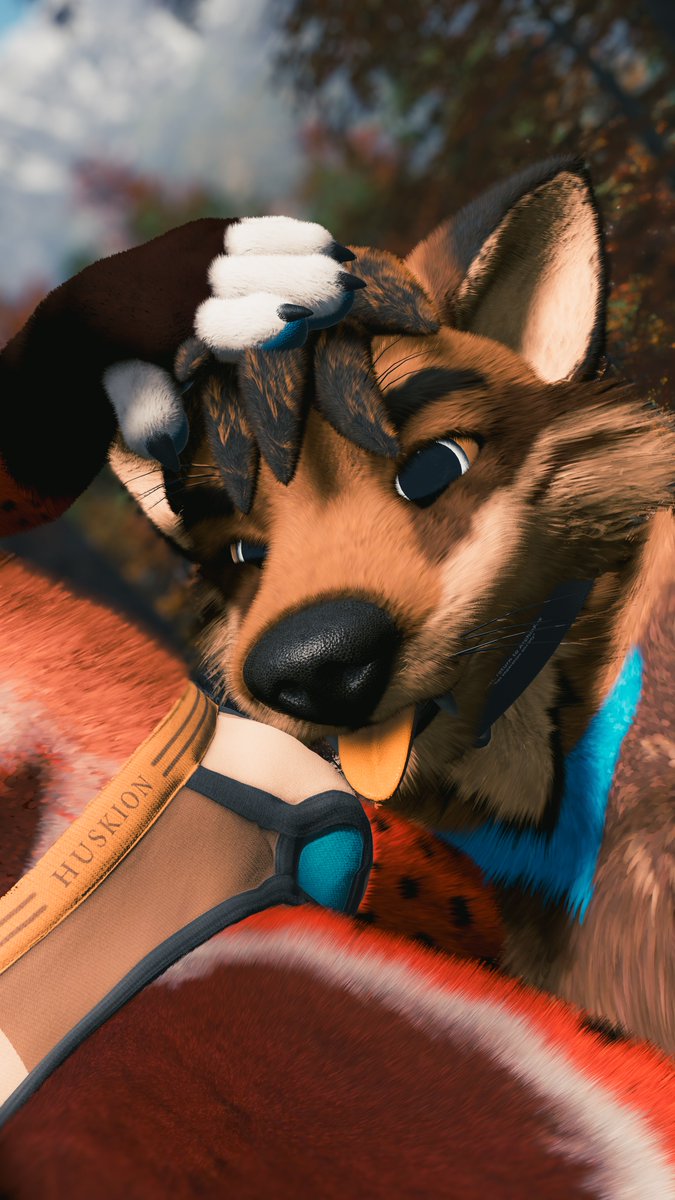 Matte_Wolf's tweet image. Snack time! (6/6)
🦊: @ArchieFox_ 💛