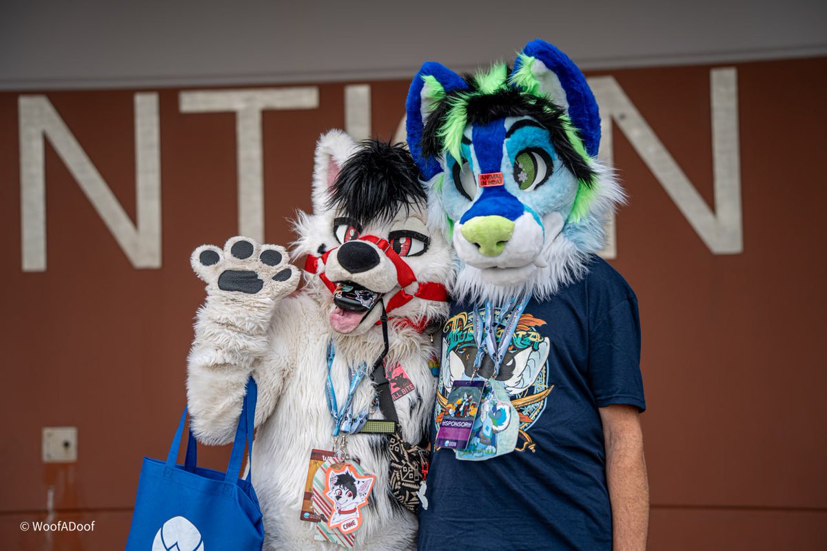 Such a cute blue wolfy