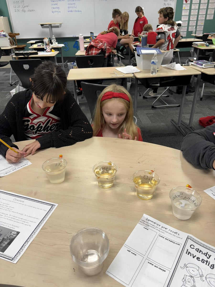 Renee Shoemaker tweet media