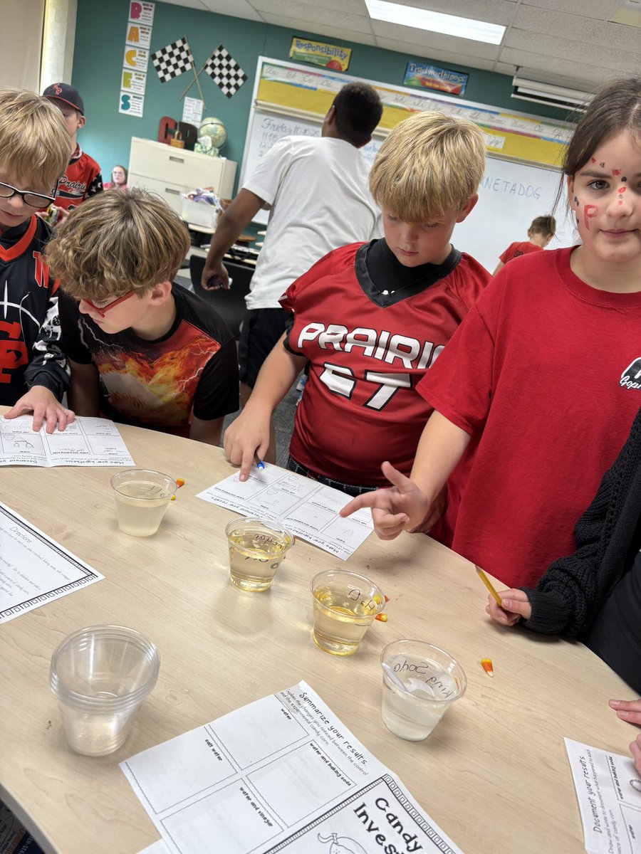 Renee Shoemaker tweet media