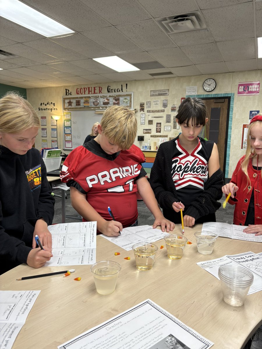 Renee Shoemaker tweet media