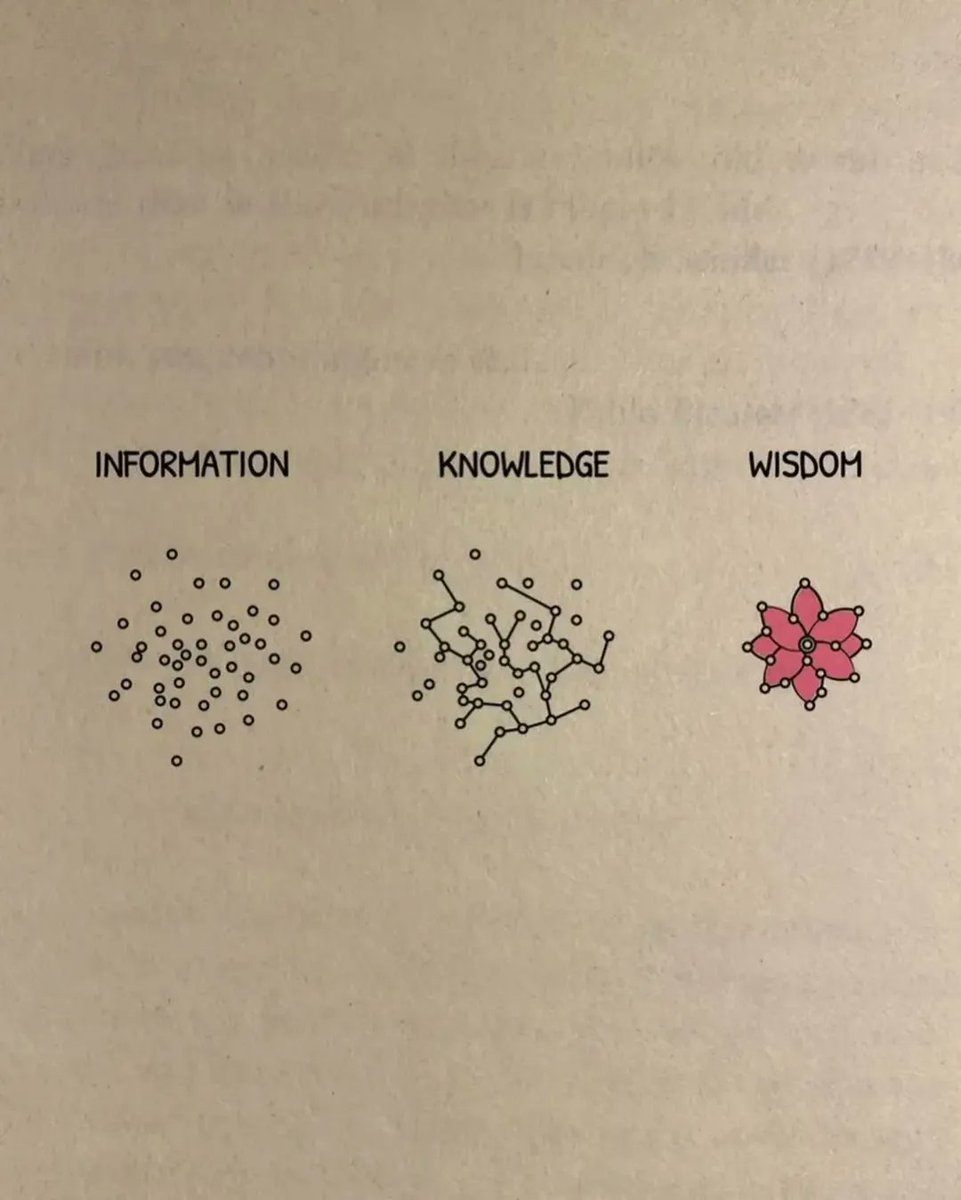 Succeeded Mind tweet media