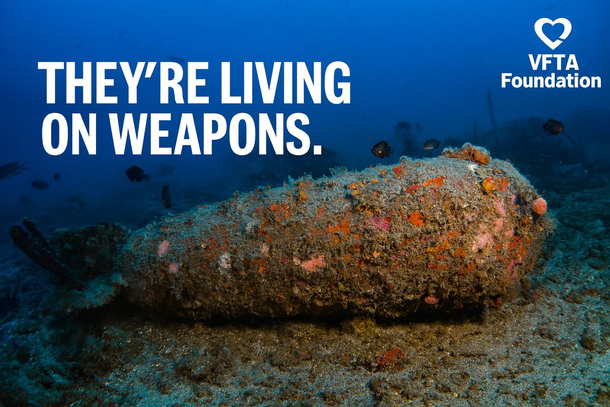 Marine life is thriving on sunken WWII warheads. Yes, war relics now host thousands of creatures.  But it’s not beauty—it’s burden. They endure toxicity just to survive.
Read: discovermagazine.com/thousands-of-m…
What does it say when life adapts to war rather than peace?
#OceanJustice