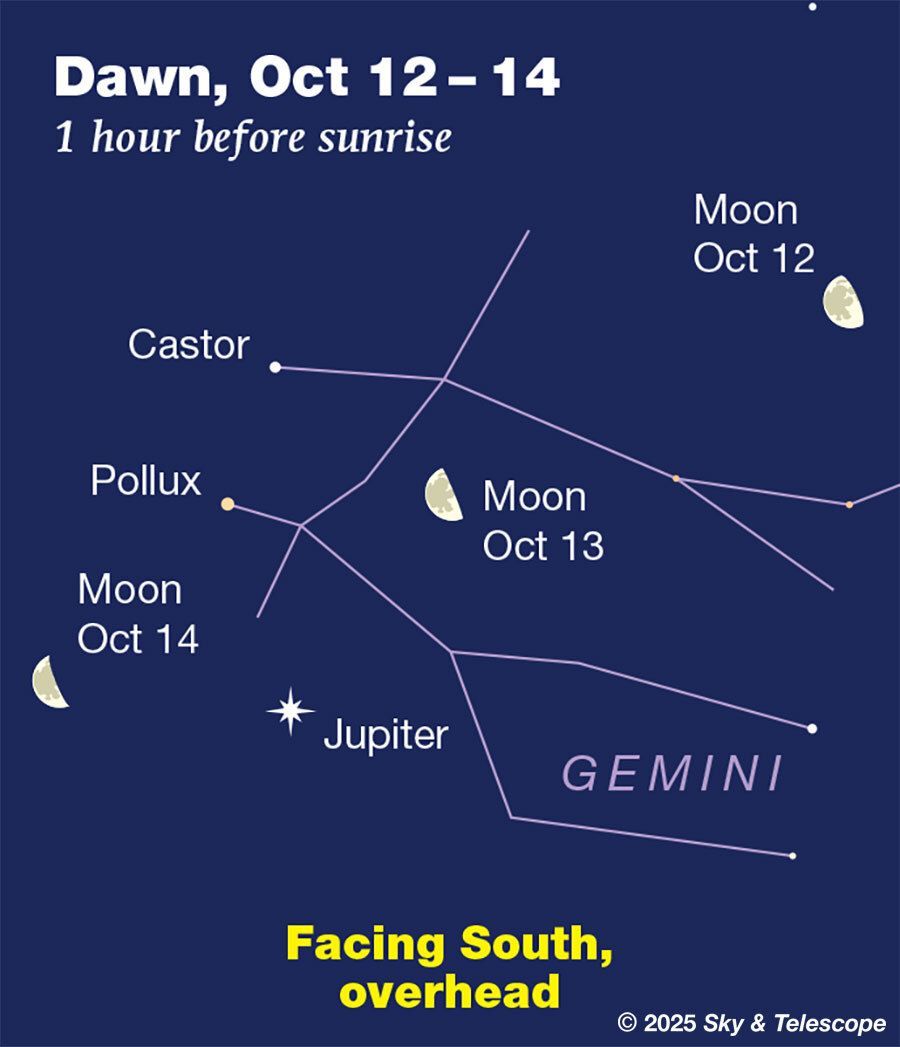 SkyandTelescope's tweet image. In tonight's sky, Cassiopeia stands high in the northeast. Off to its left the dim Little Dipper runs leftward. How much of the Little Dipper you can see is a check of your light pollution.
buff.ly/Dm6dxU5
.
.
#astronomy #stargazing #cassiopeia #littledipper #polaris