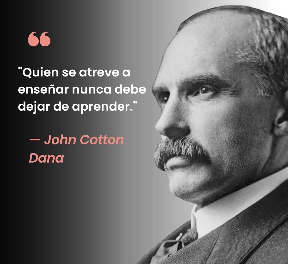 BarcenasBastion's tweet image. #Cotton