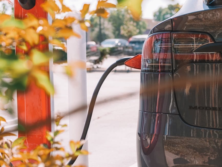 MC Power designs and installs commercial EV charging infrastructure that helps businesses lead the way in clean transportation. 

Is your facility ready?

#EVCharging #CleanTransportation #PoweringTheFuture