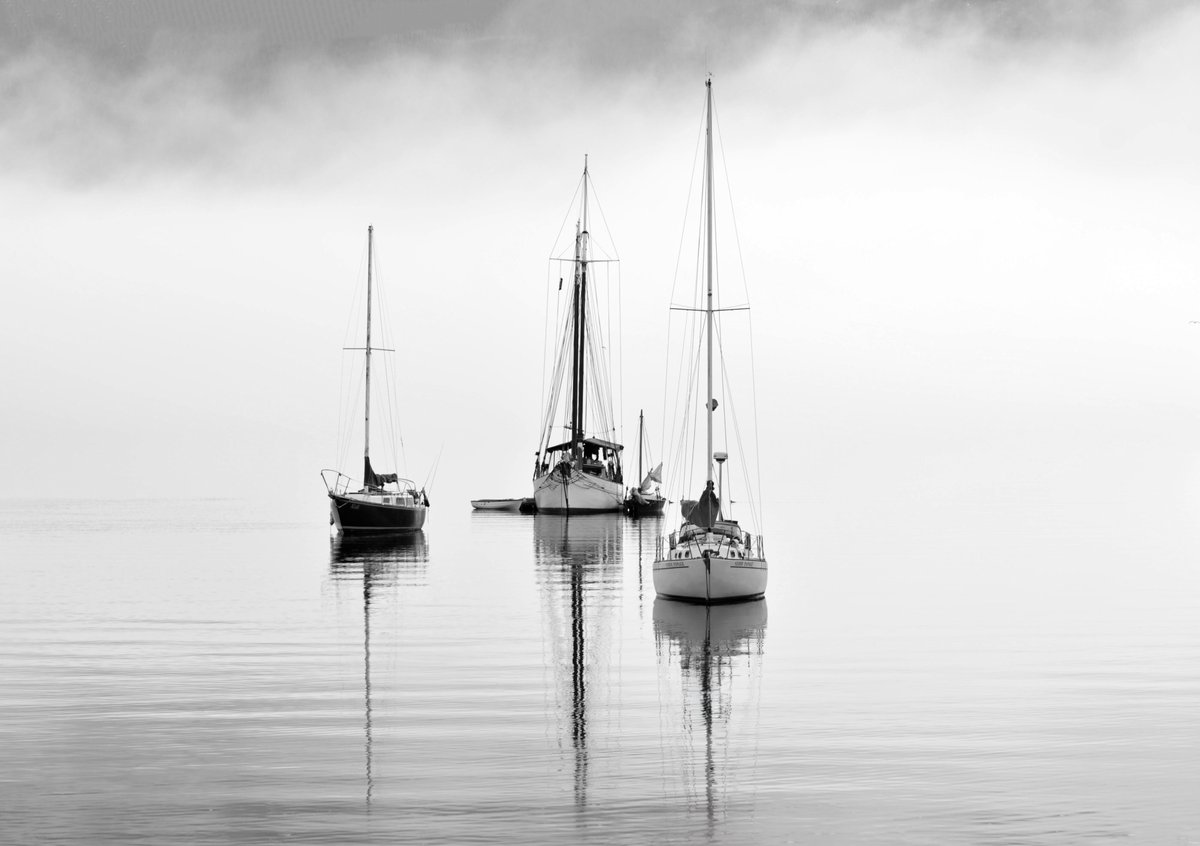 Sam_Alexandra23's tweet image. Good day Gang!  Happy Thanksgiving weekend to all my Canadian friends! 🐓 Today's photographic challenge is titled #FoggyFriday.  Let's see your best captures of #Fog.  Have a fabulous Friday and be safe out there! #photography #nature #landscape #scenes #water 📸🇨🇦