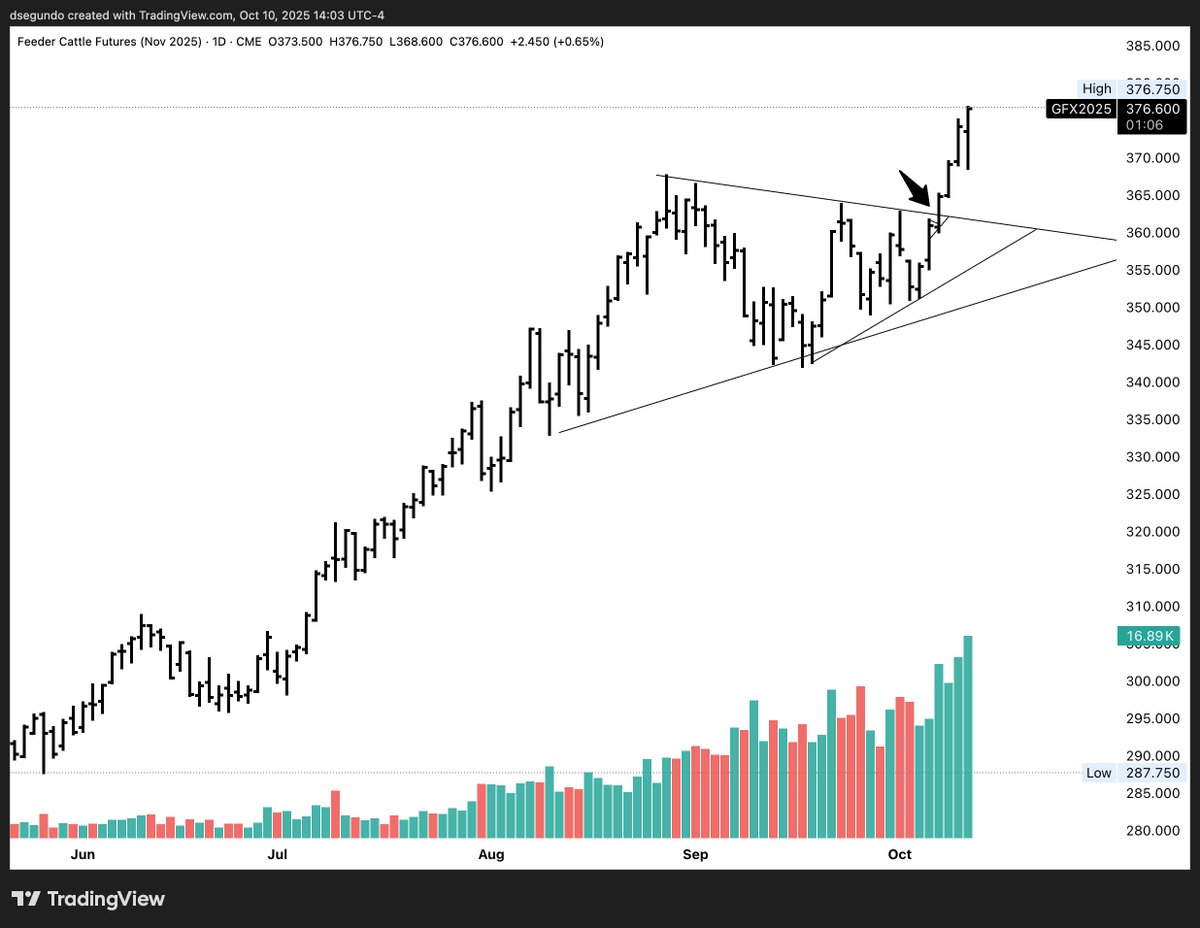 danielpsegundo's tweet image. Current positioning: long lots of Feeder Cattle from the breakout (black arrow). I fold my Silver and Gold on 10/8 around 48.5 and 4050 respectively. I make a lot of mistakes but sizing up on setups like this and then sitting tight usually makes up for them.