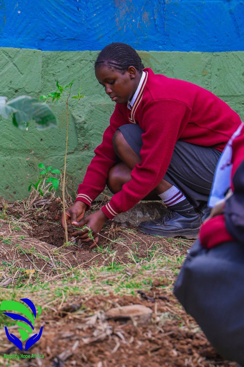 AmplifyhopeAfr's tweet image. 🌿 Mazingira Day 2025 celebrations – Tree Planting at Toi Primary School 🌱

Today, we collaborated with Nairobi City County, NYS, local administration, partner organisations, Kenyatta University, students, teachers, and community members at Toi Primary School to celebrate
