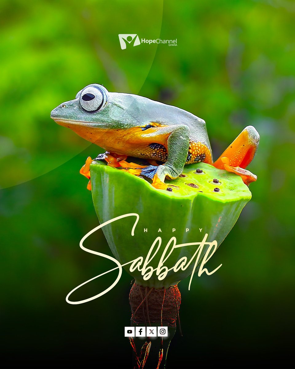 hopechannelgh's tweet image. Happy Sabbath!
The Sabbath is a holy invitation come and taste the peace of God,drink deeply of His Word,and rest in His unfailing promises. Today, heaven draws near to earth, and God’s love shines brighter than ever. 

#HappySabbath
#HopeChannelGhana
#ChangingLives