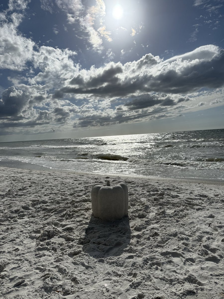 shane_dimora's tweet image. 🎃🌊🐚🌞