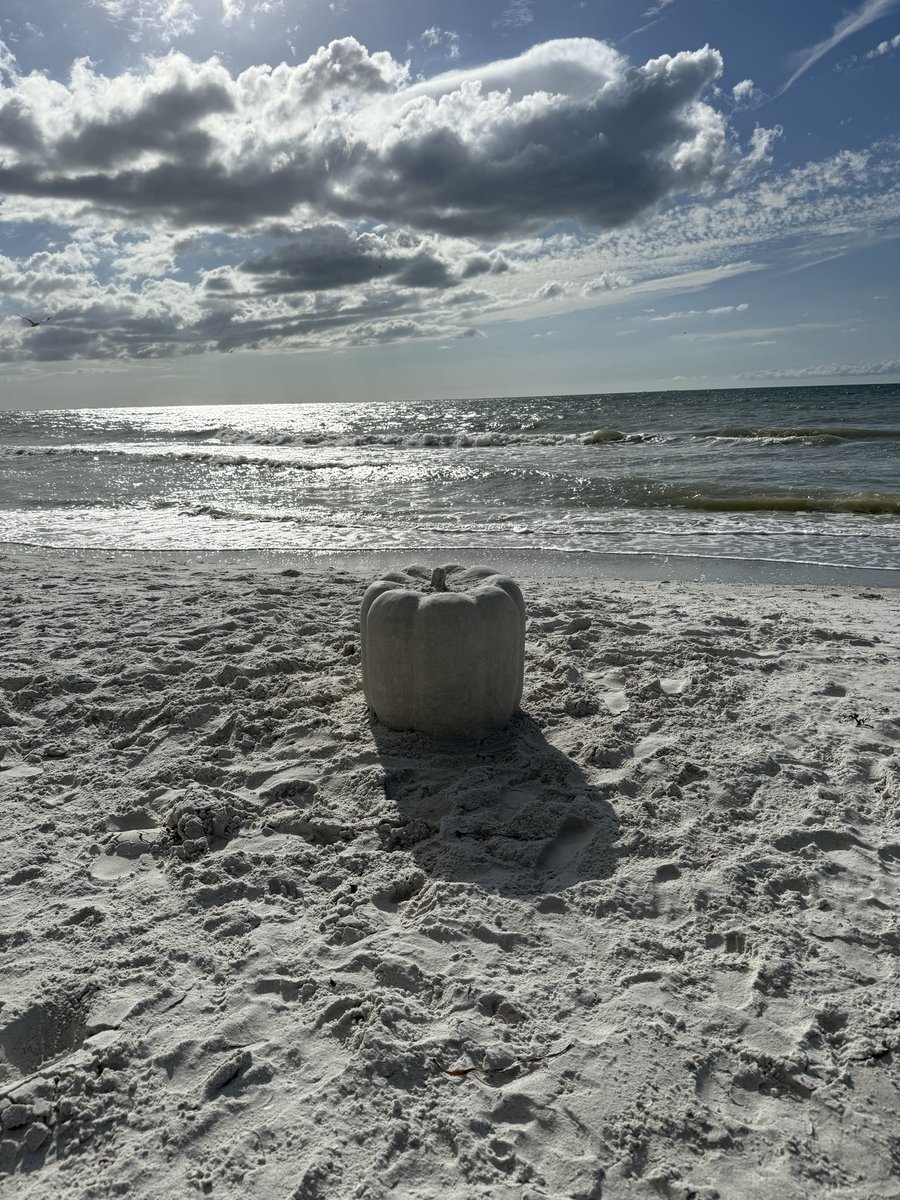 shane_dimora's tweet image. 🎃🌊🐚🌞