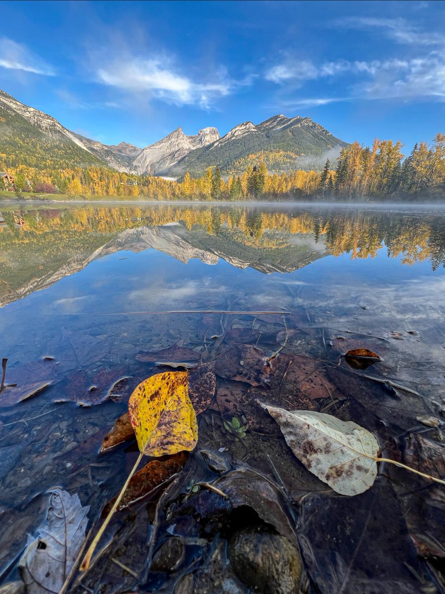 Fernie Fix Magazine tweet media