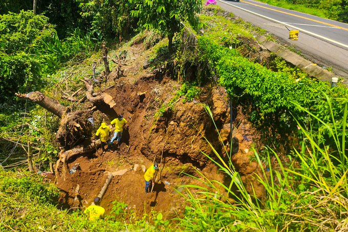 First image shows several workers in yellow vests and helmets digging into a large eroded dirt slope beside a paved road lined with green vegetation and trees, with a pink car visible on the road and construction barriers in place. Second image depicts workers in similar gear handling tools near a chain-link fence and concrete barriers along another section of eroded earth beside the road, surrounded by lush green bushes and trees.