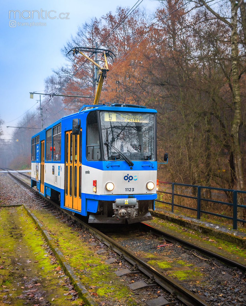 Mlhavý podzim s T6A5 / Foggy autumn with T6A5
Ostrava, Zátiší - 26.11.2022