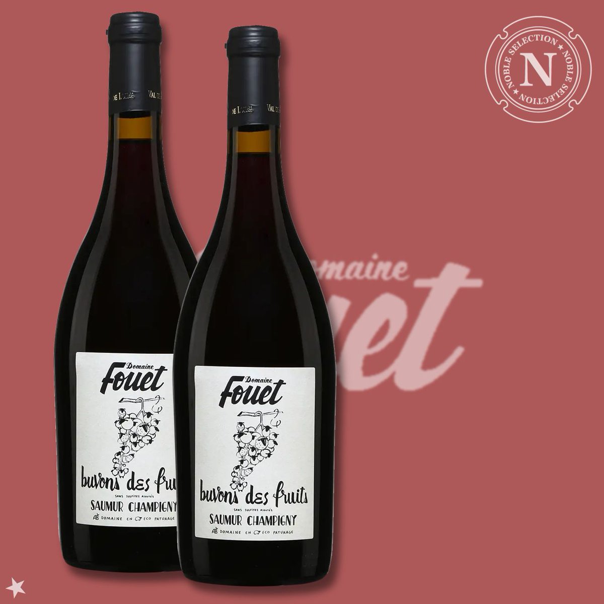 Buvons des Fruits du Domaine Fouet, un vin qui porte bien son nom, disponible à <a href="/LaSAQ_officiel/">lasaq_officiel</a>
Vin souple, juteux et gourmand, dominé par des arômes de bourgeon de cassis, une vraie invitation à la convivialité.
Dispo ici ⟶ saq.com/fr/14090094