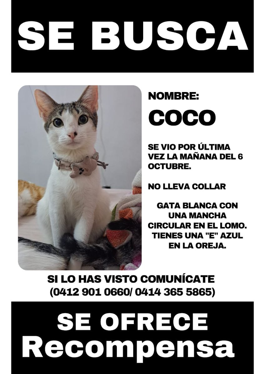 yaracalcagno's tweet image. Difundo. Ofrecemos Recompensa, por favor pedimos de su ayuda si la han visto pasar o por alguna calle, ella muy cariñosa responde a su a Nombre. Solo esperamos que aparezca Pronto nuestra bebe 🙏🏼🙏🏼
Se extravió por la Vega cerca de la Redoma de la India.
Por favor ayuda a difundir