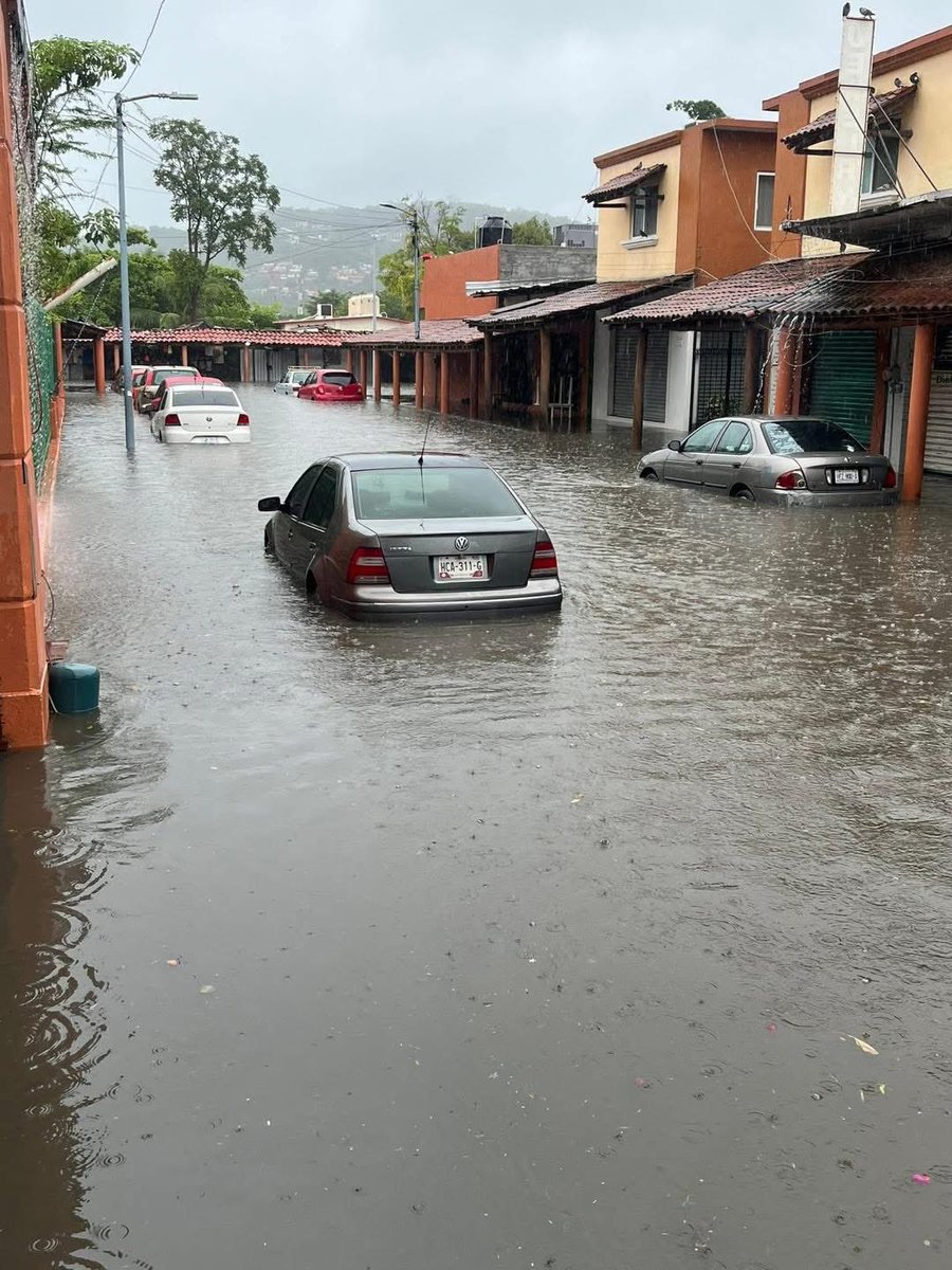 ElEstadoMx's tweet image. 🐊 Tras las fuertes lluvias en #Zihuatanejo, Guerrero, se reportan #cocodrilos en pleno centro del pueblo mágico.