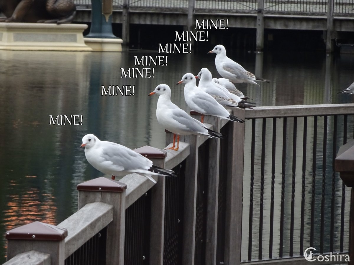 Tweet media one