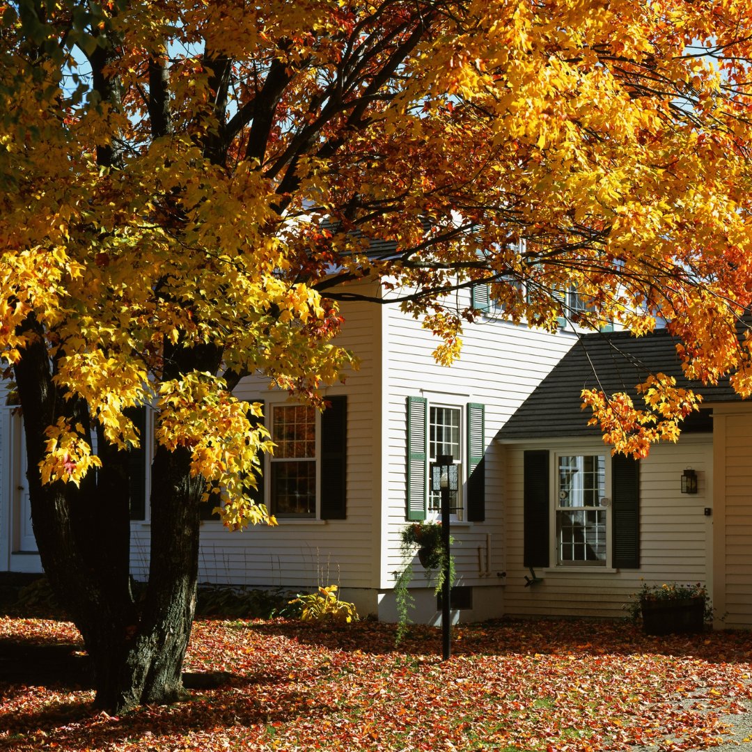 brucelystad's tweet image. The most important area of your #house to #refresh in fall, especially if you #wanttosell 

zurl.co/rgZMu 
 
#BruceLystad #JohnLScott #Eastside #RealEstate #HomesNW #NewConstruction