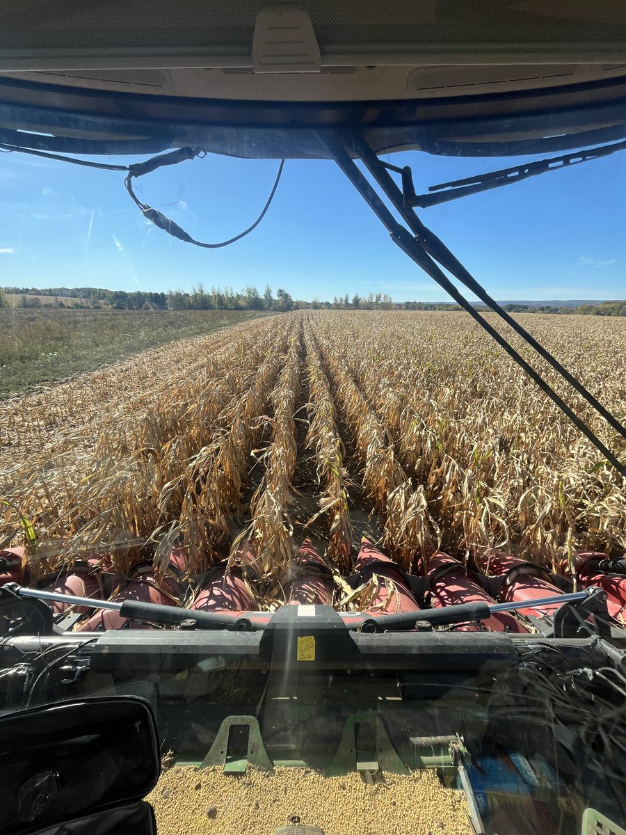 Brian Newcombe tweet media