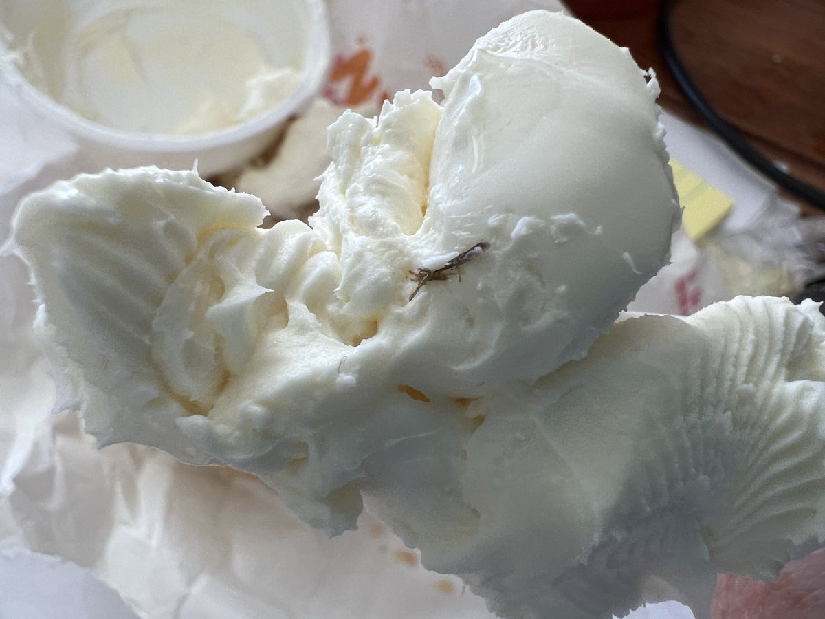 Andy MacIsaac tweet media