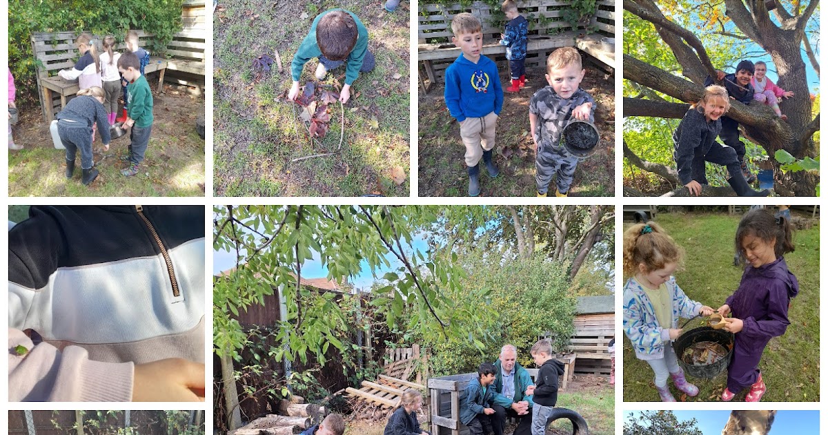 Hacton Primary tweet media