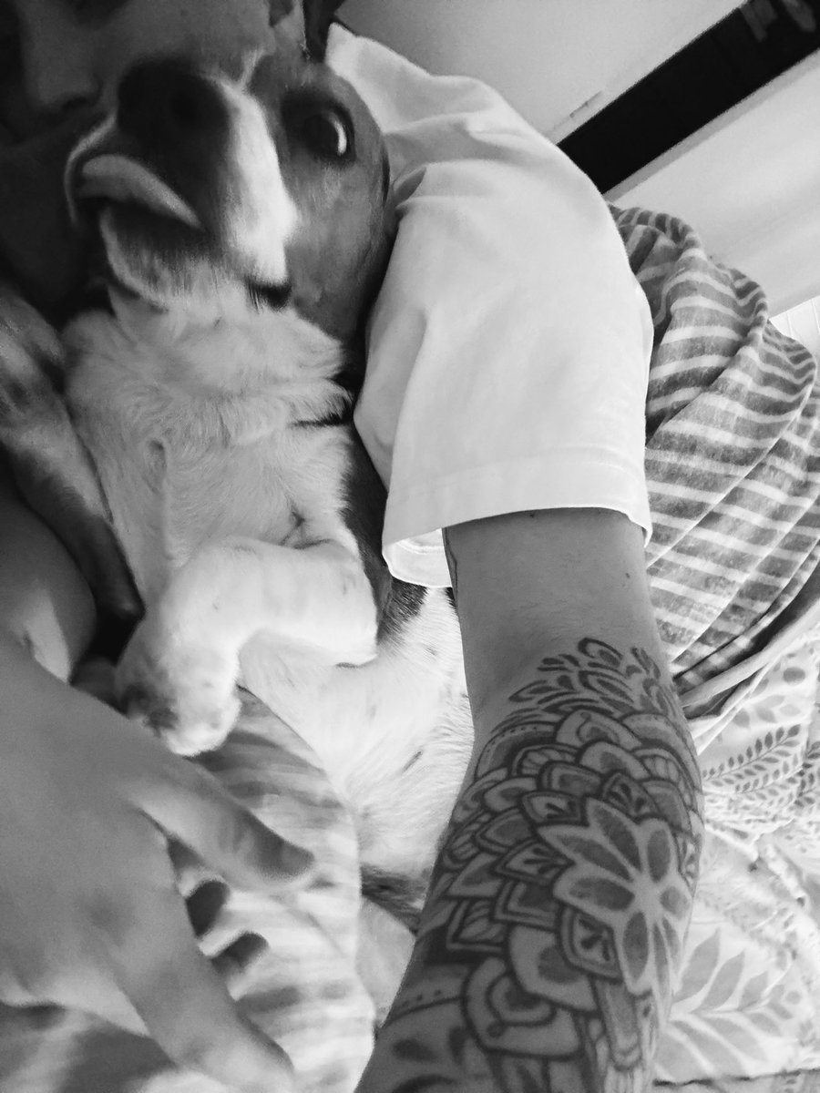 FiammaMarcel's tweet photo. 1. Pidiendo comida
2. Mirando a mamá para que le haga mimos
3. Recién despierta con mami https://t.co/iPvHNpbdcM