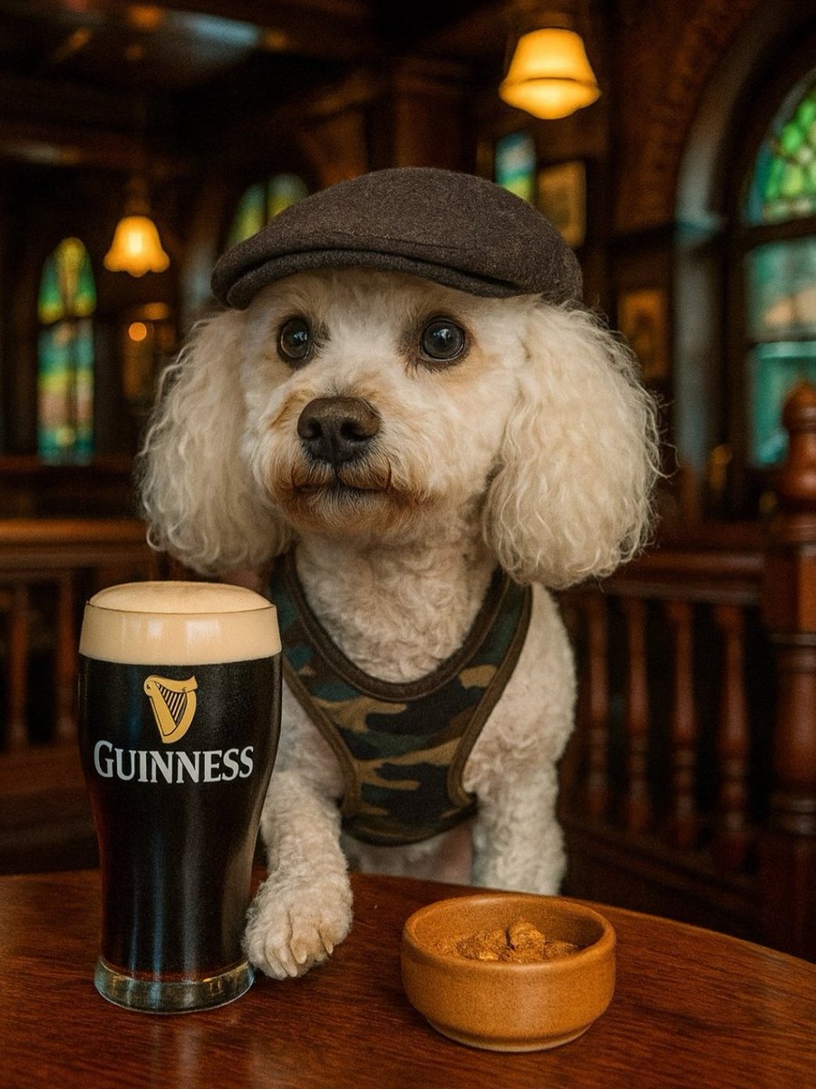 Johnmcc06501251's tweet image. HEY! barman more nuts over here, not the salted ones. Good evening, folks. Dad has to work tonight. I&apos;m out on my own. ☘️