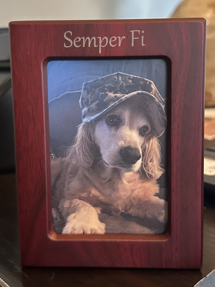ndngal143's tweet photo. It's been a month without Semper Fi💔 11/23/11-09/10/25 https://t.co/UZa9gdsBNP