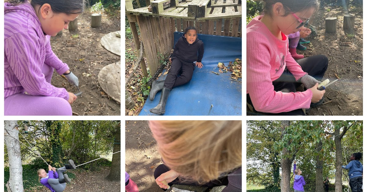 Hacton Primary tweet media