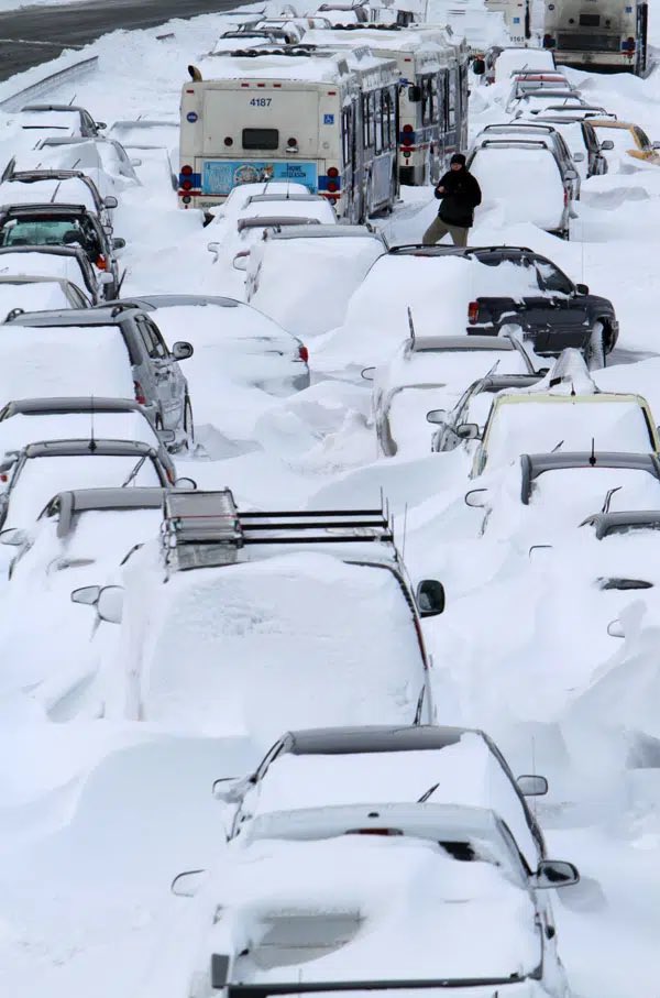 Peregrine Dreams tweet media