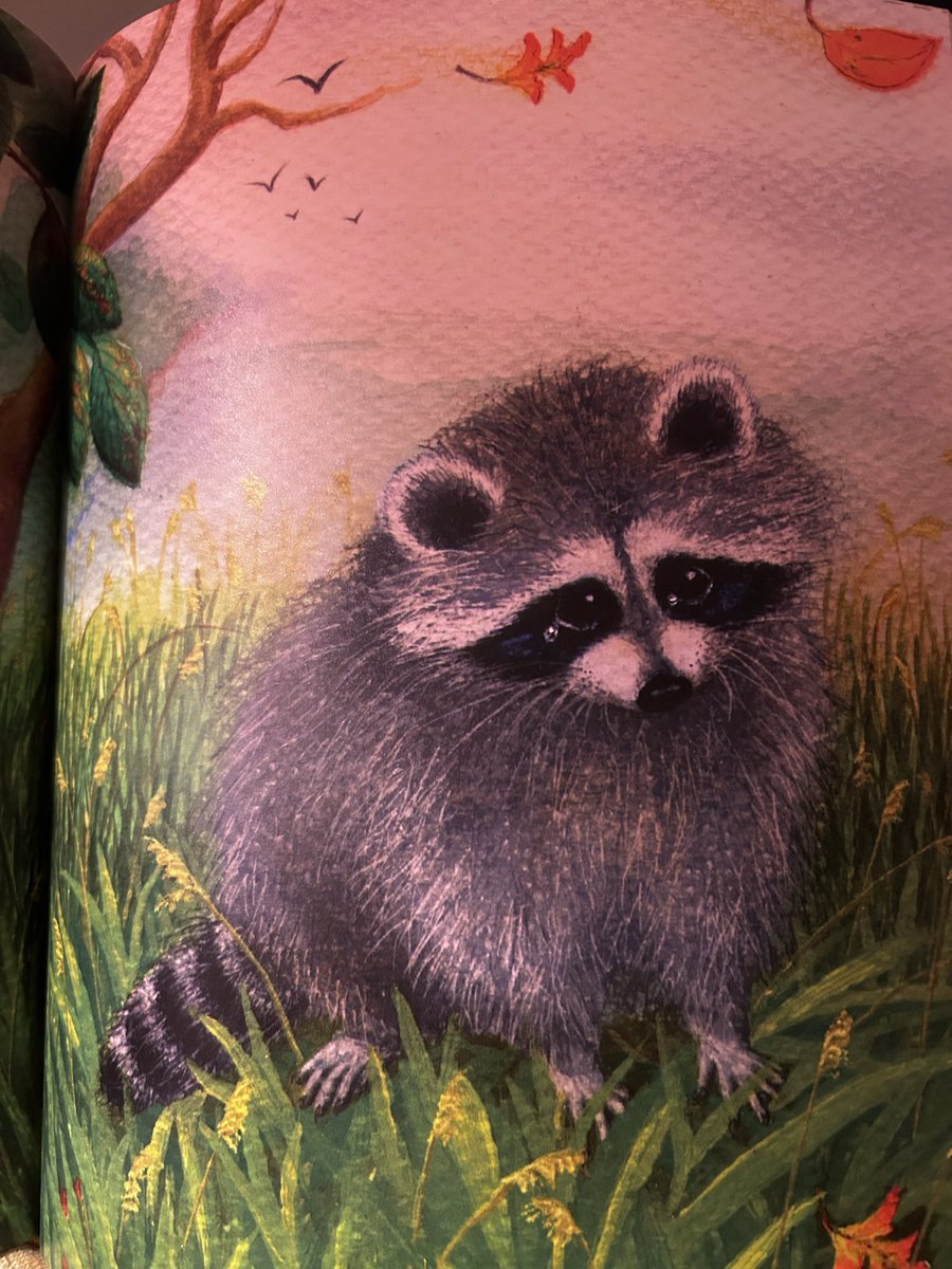 this sad children’s book raccoon made me tear up