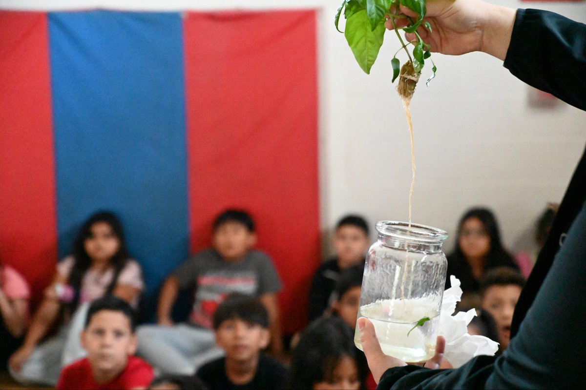 FBISDFoodie's tweet photo. Today at @TWE_Texans, students got a glimpse of our hydroponic #FlexFarm! 🌱 They learned how produce grows and how we’re bringing fresh greens into #schoolmeals. Big thanks to our intern for the awesome presentation!
#FBISDFoodie #FarmFreshTexas #FarmFreshChallenge #F2SMonth https://t.co/sXkMtkaYss