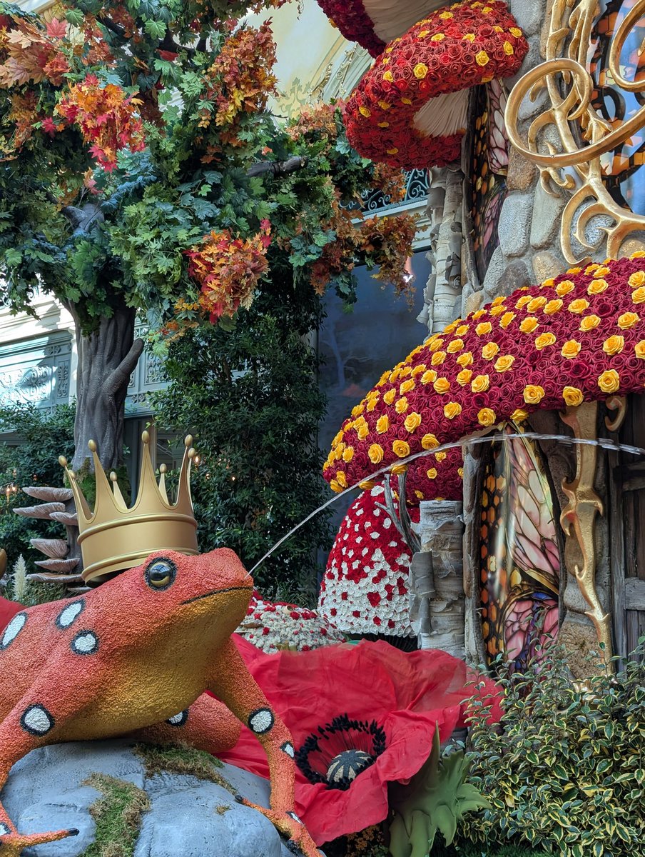 LasVegasLocally's tweet photo. Mark Czerniak — Chief Financial Officer at Bellagio and Park MGM — will become the new Bellagio general manager, according to an insider. https://t.co/EtaL54J6ED