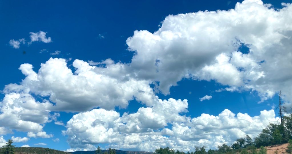 ExpressiveComms's tweet image. Some people are going over-the-top with extreme reactions to any belief. How in the world did this happen? I’m saying it again. It’s the algorithms being fed by anti-society groups. This can be done from anywhere. We need to stop reacting. Maybe go touch some grass. 
#peace